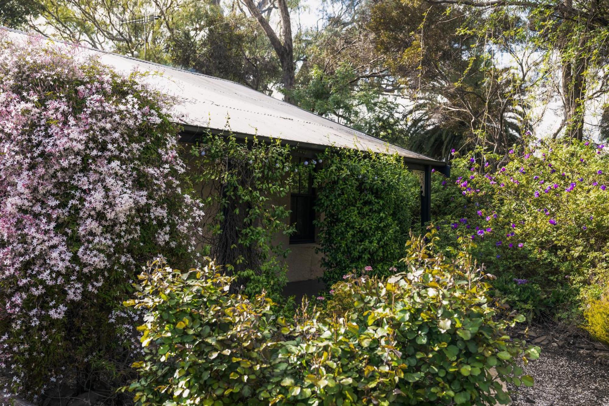 Jasmine'S Barossa Valley Cottage Lyndoch Exterior foto