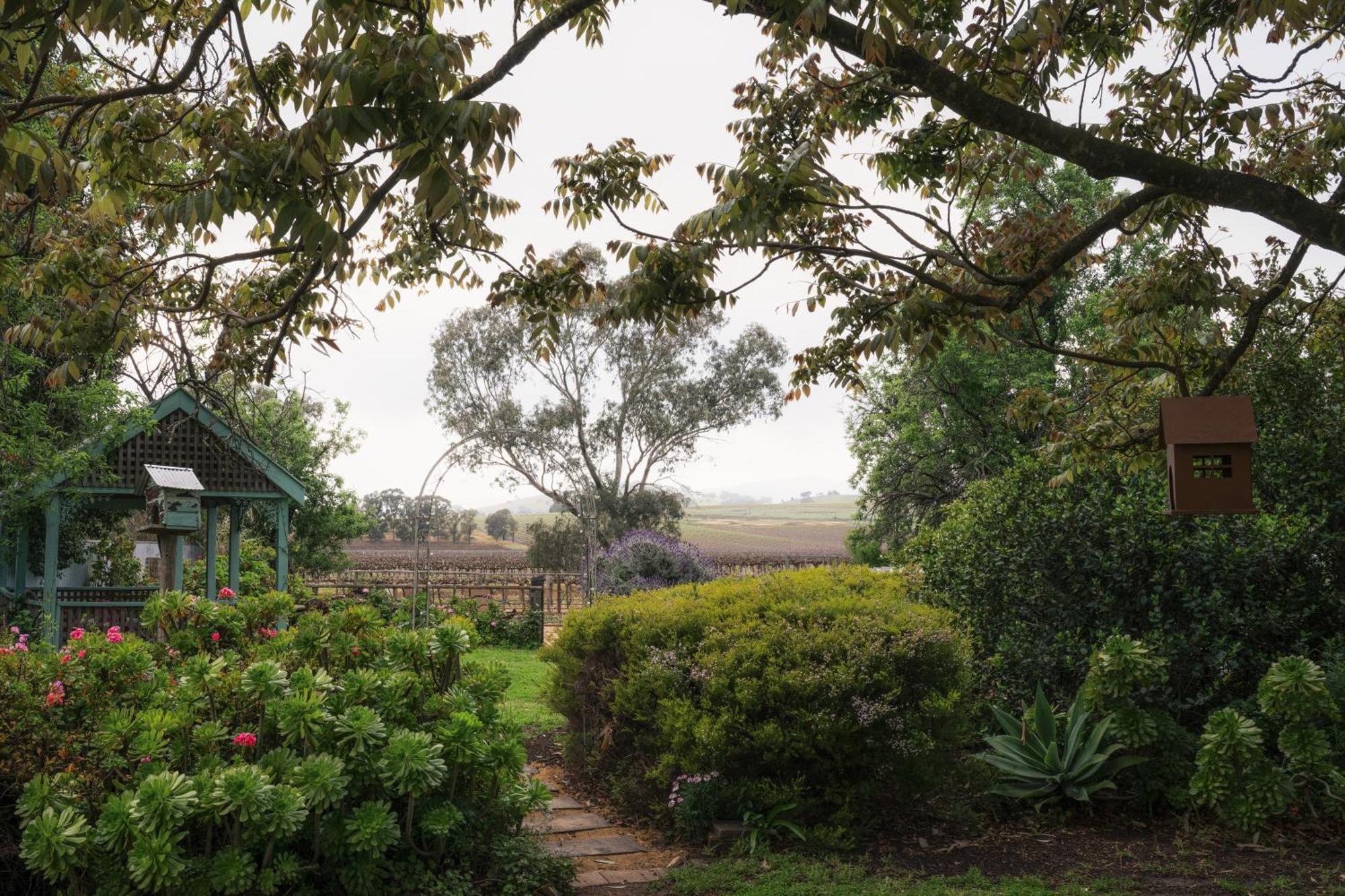 Jasmine'S Barossa Valley Cottage Lyndoch Exterior foto