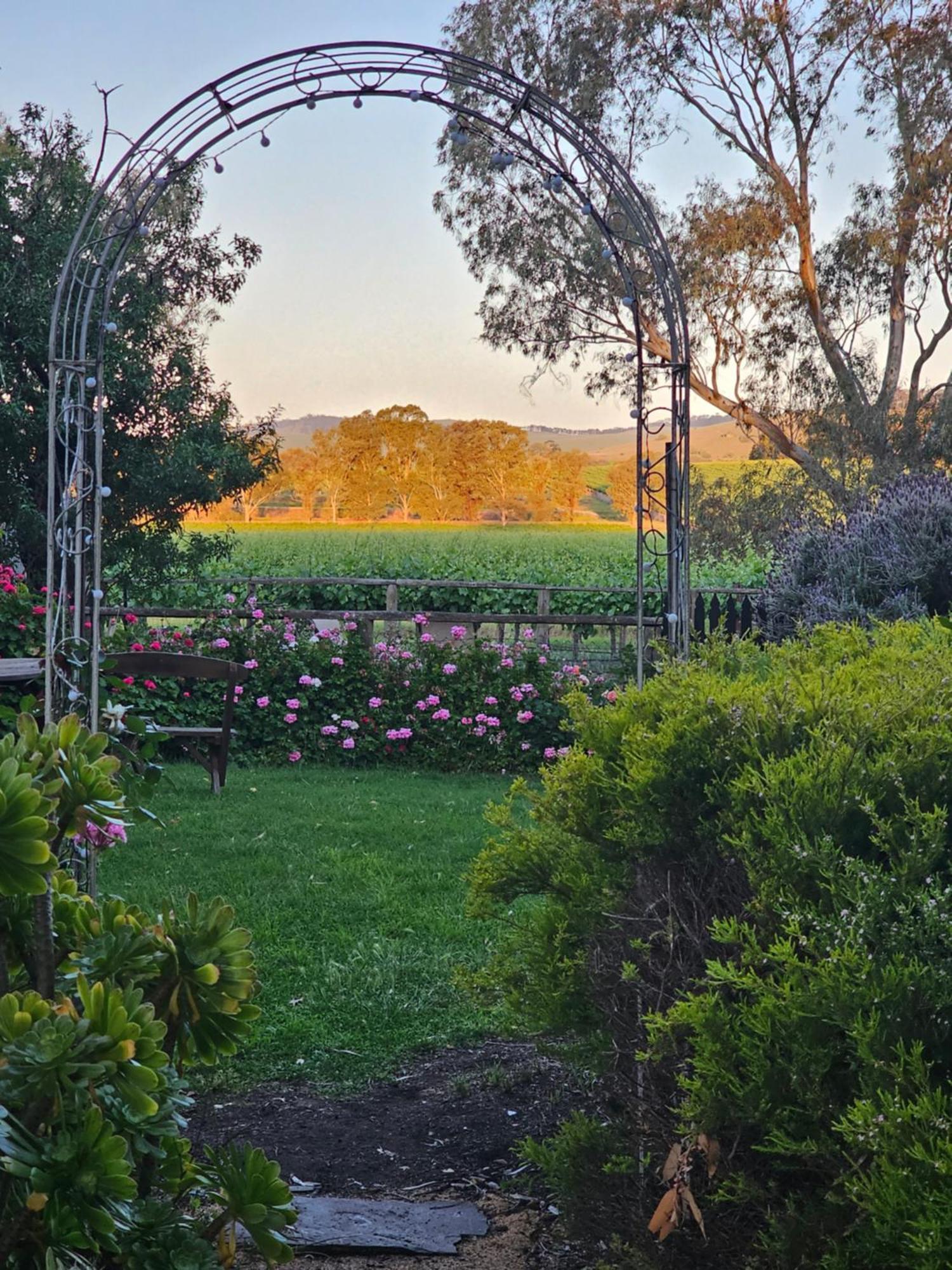 Jasmine'S Barossa Valley Cottage Lyndoch Exterior foto