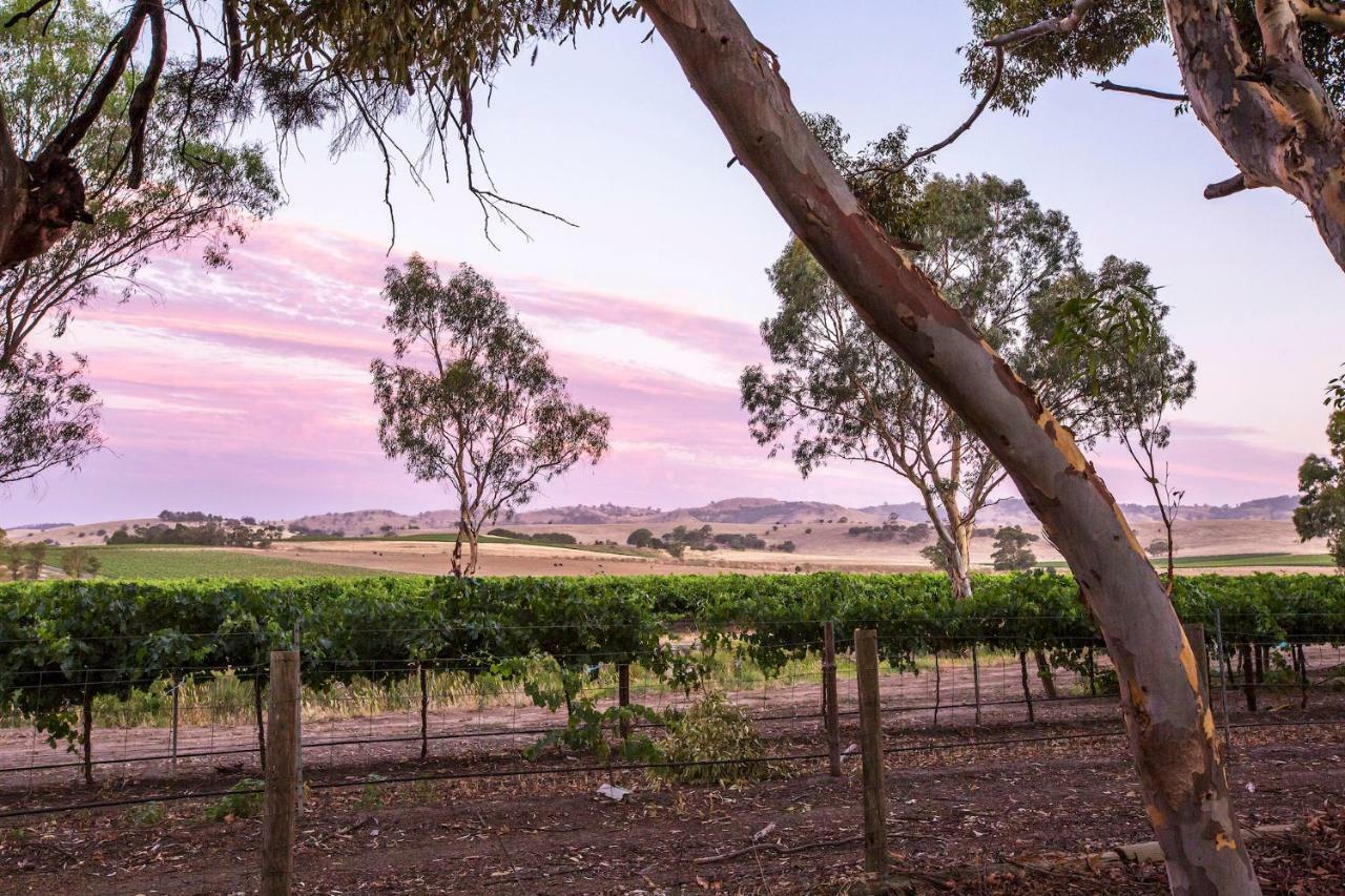 Jasmine'S Barossa Valley Cottage Lyndoch Exterior foto